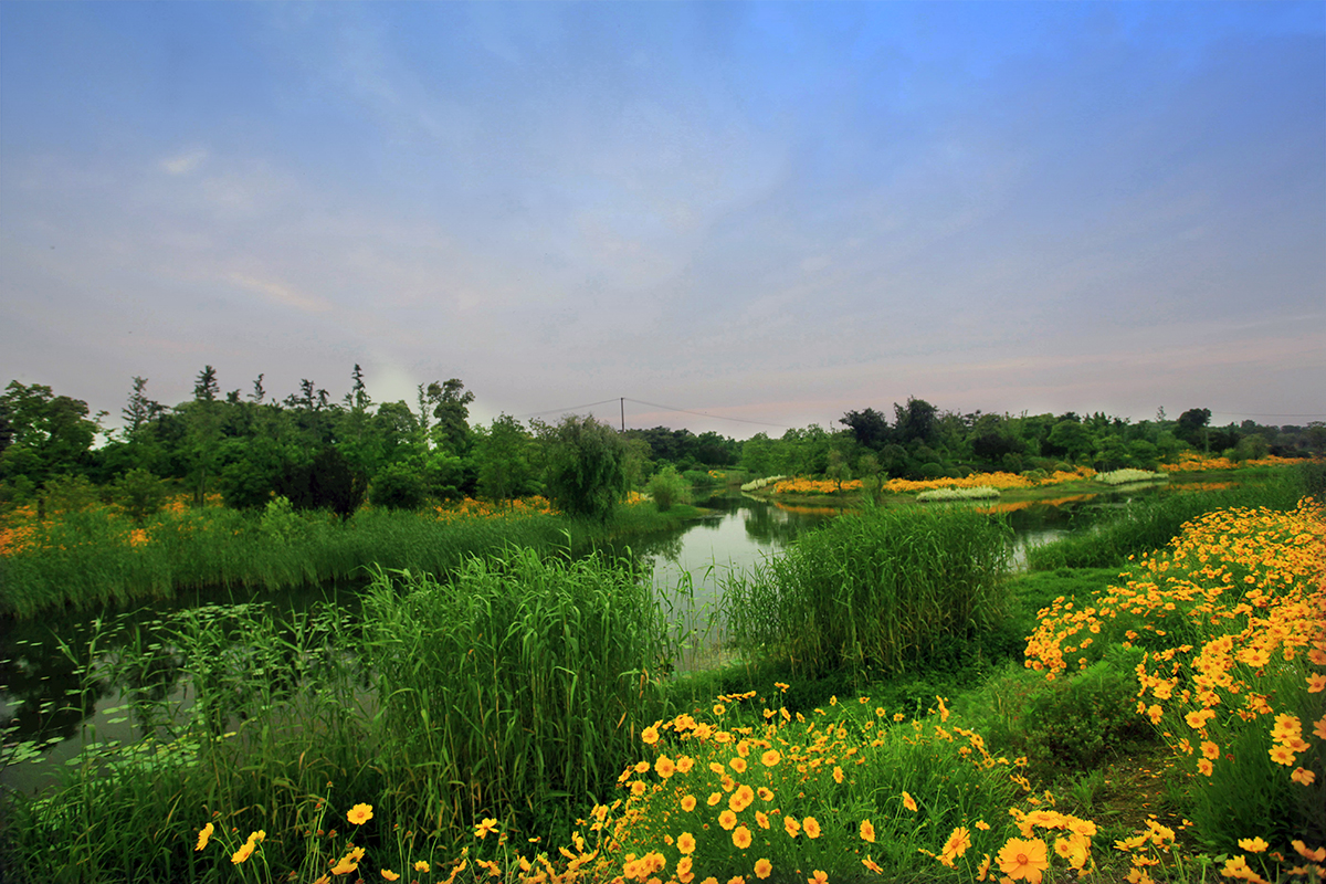 贡湖湾湿地.jpg